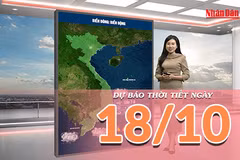 [Video] Dự báo thời tiết ngày 18/10/2026: Bắc Bộ có nắng, Nam Bộ mưa dông