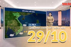 [Video] Dự báo thời tiết đêm nay và ngày mai 29/10/2026: Mưa giảm nhanh ở Trung Bộ, Nam Bộ tiếp tục có mưa dông