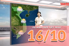 [Video] Dự báo thời tiết ngày 16/10/2026: Bắc Bộ và Trung Bộ trời nắng nóng, Nam Bộ có mưa lớn cục bộ về chiều tối