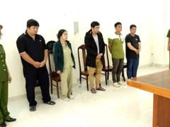 Cơ quan Cảnh sát điều tra Công an tỉnh Khánh Hòa đã ra quyết định khởi tố vụ án hình sự và khởi tố 5 bị can liên quan vụ tai nạn điện khiến một người tử vong xảy ra ngày 7/12, tại phường Tây Nha Trang.