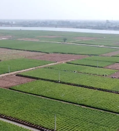 [Video] Xuất khẩu nông sản lạc quan những ngày đầu năm