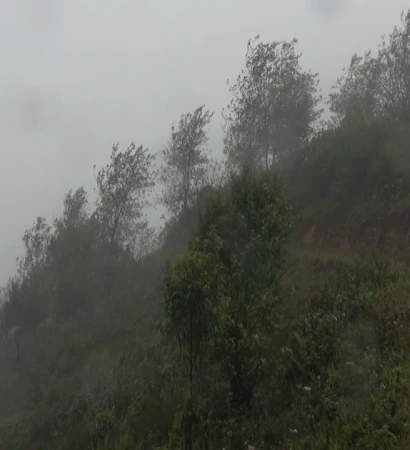 [Video] Bắc Bộ sắp đón đợt rét mới, vùng núi có nơi rét đậm