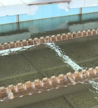 [Video] Bảo đảm cấp nước an toàn, chống thất thu, thất thoát nước sạch 