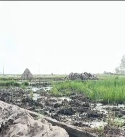 [Video] Đắk Lắk hỗ trợ bà con nông dân khôi phục sản xuất