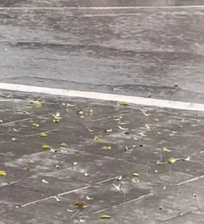 [Video] Không khí lạnh mạnh gây mưa lớn, Bắc Bộ và Bắc Trung Bộ chuyển rét 