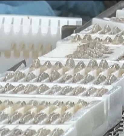 [Video] Xuất khẩu thủy sản lập kỷ lục 11,3 tỷ USD