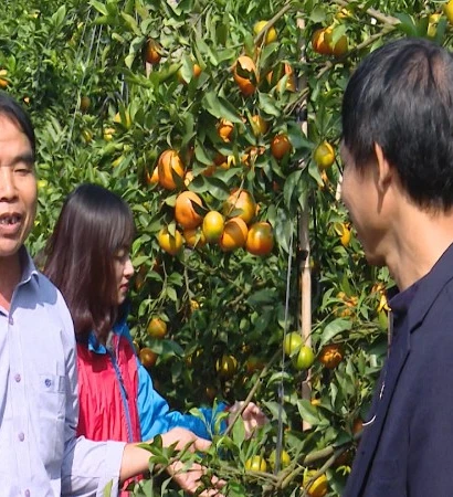 [Video] Hà Nội thu 2 tỷ USD từ xuất khẩu nông nghiệp