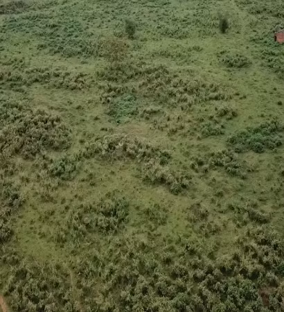 [Video] Bổ sung quy định hồ sơ miễn, giảm tiền thuê đất