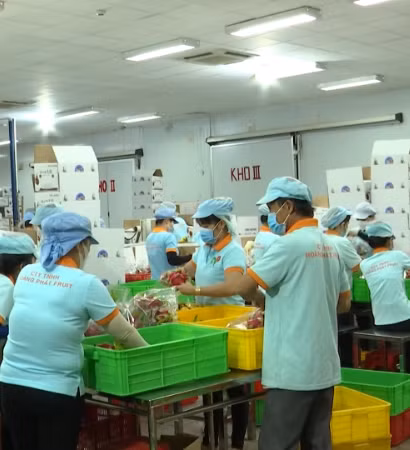 [Video] Duy trì đà tăng trưởng xuất khẩu nông sản