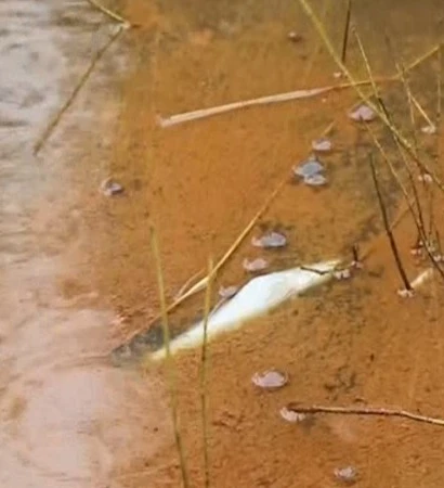 [Video] Khẩn trương khắc phục sự cố tràn dầu tại Dung Quất