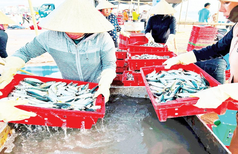 Cá được rửa sạch trước khi sơ chế. 10.png