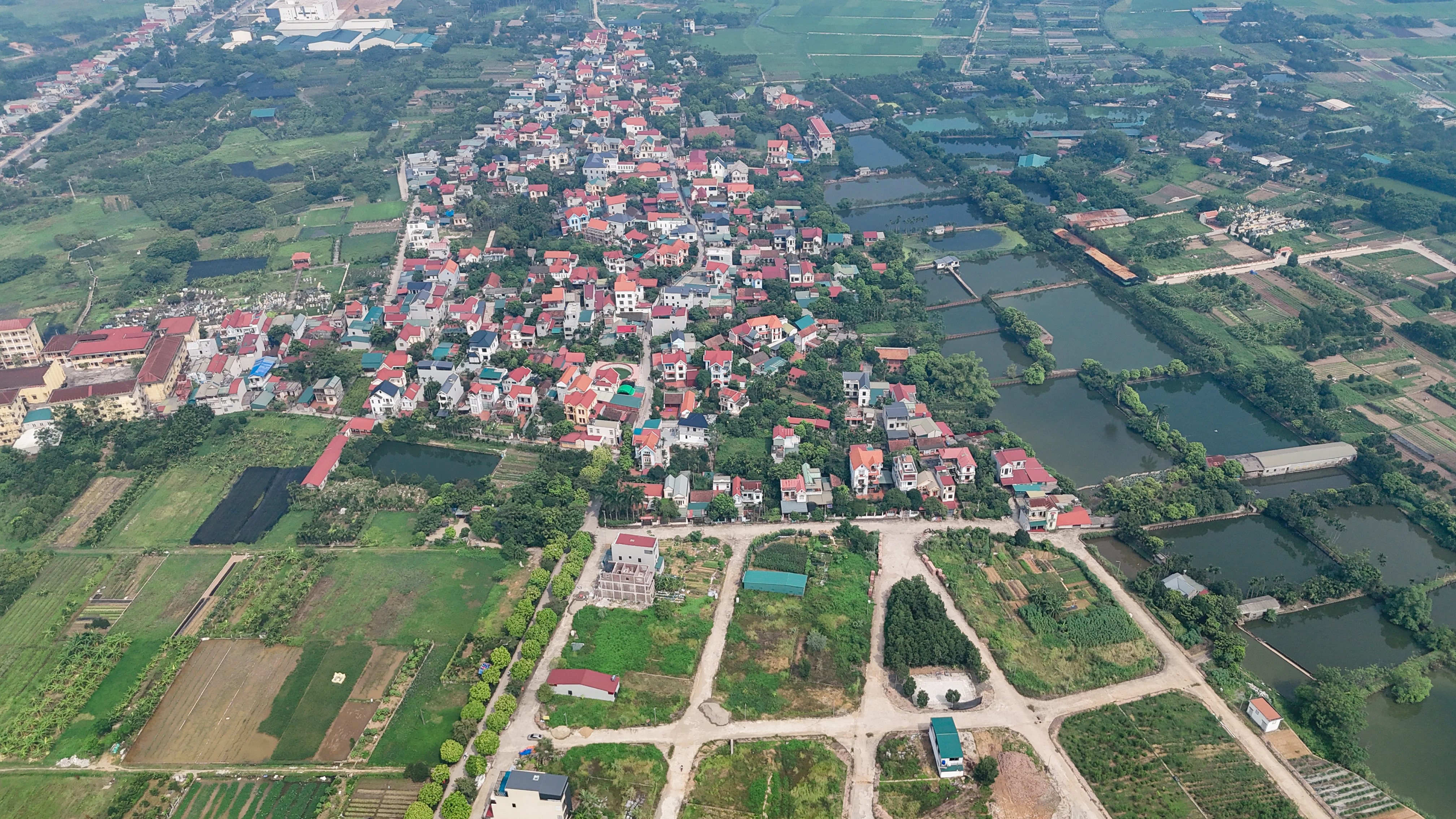 Ảnh minh họa.
