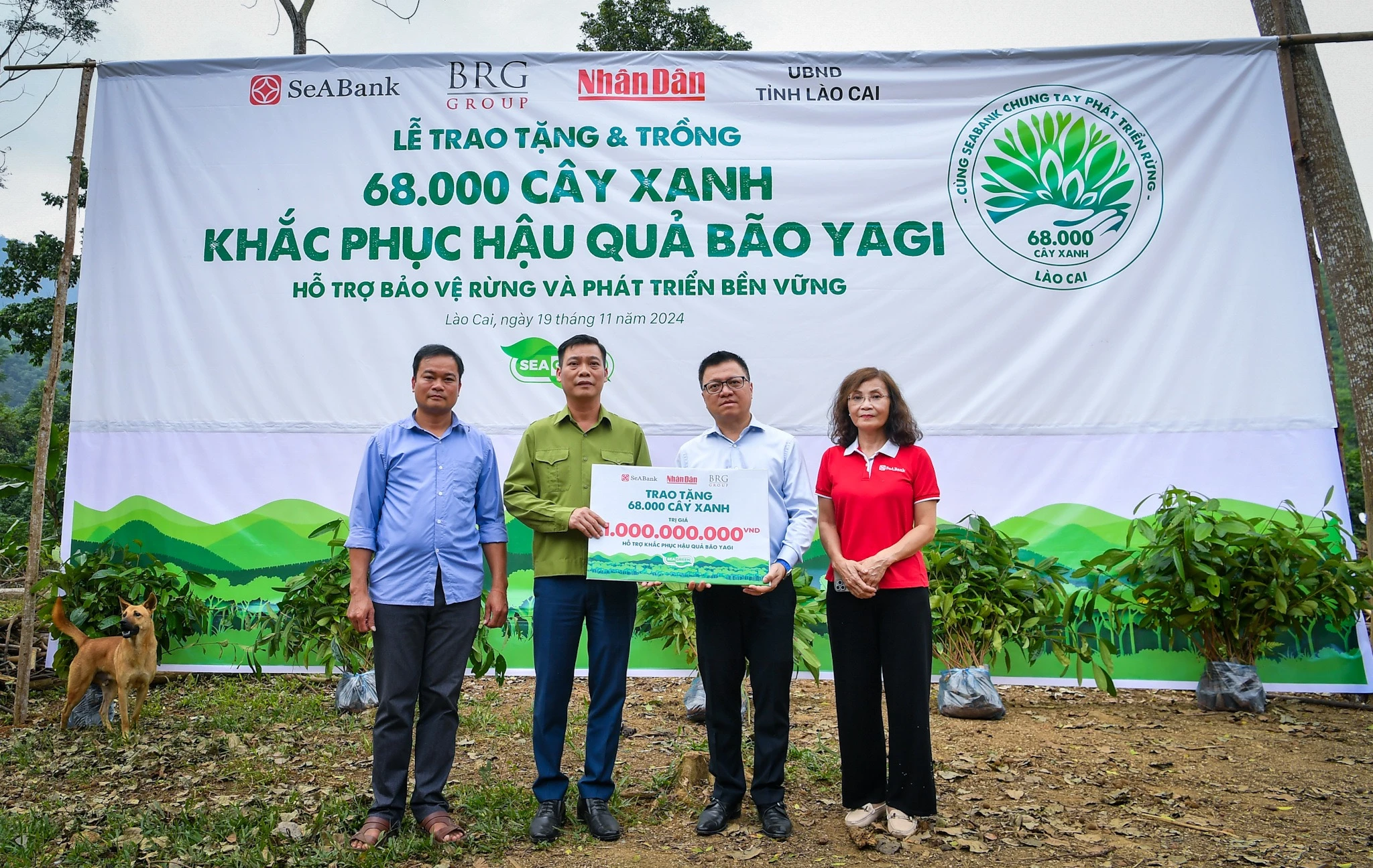 [Ảnh] Báo Nhân Dân trồng hàng chục nghìn cây xanh hỗ trợ sinh kế bà con Làng Nủ