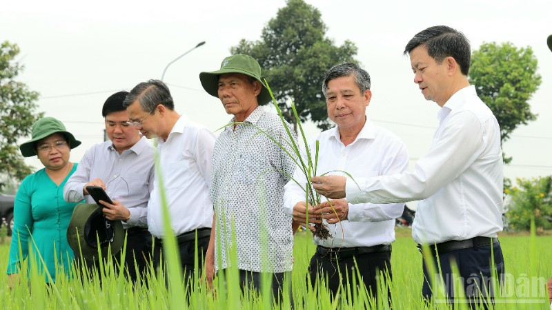Lãnh đạo thành phố Cần Thơ thăm đồng đầu Xuân Bính Ngọ 2026.