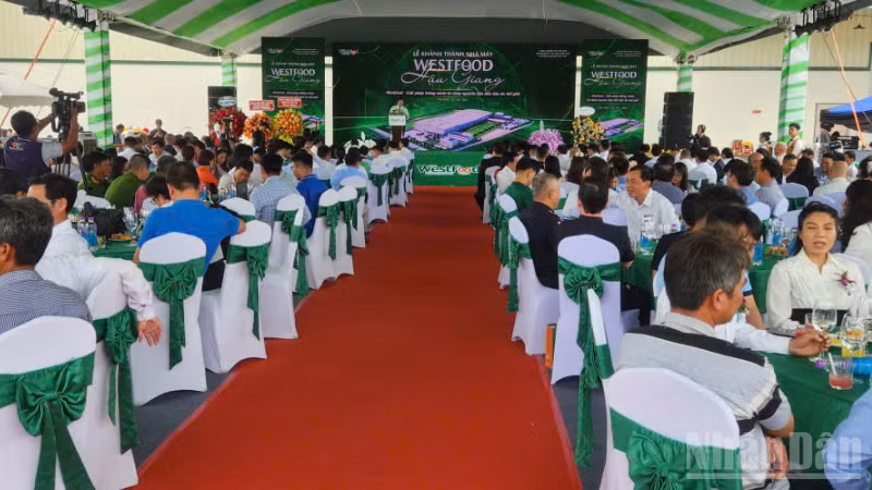 Quang cảnh Lễ khánh thành.