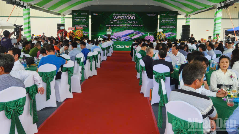 Quang cảnh Lễ khánh thành.