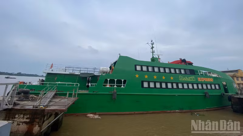Tàu Mai Linh Express đang neo đậu tại Nhà máy X55, phường Bình Thủy, thành phố Cần Thơ.
