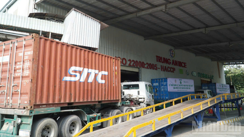 Hoạt động xuất khẩu của các doanh nghiệp tăng mạnh trong những tháng đầu năm 2025.