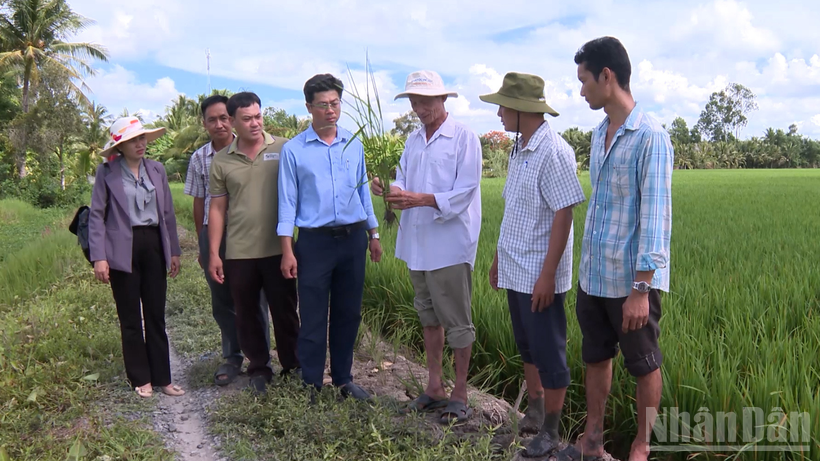 Tổ khuyến nông cộng đồng cùng nông dân trên con đường xây dựng nền nông nghiệp sinh thái, hiện đại, bền vững.