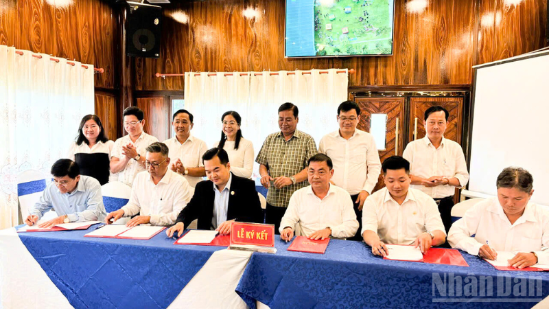 Quang cảnh lễ ký kết hợp tác giữa các đơn vị và doanh nghiệp logistics.