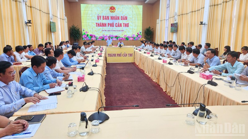 Quang cảnh buổi làm việc