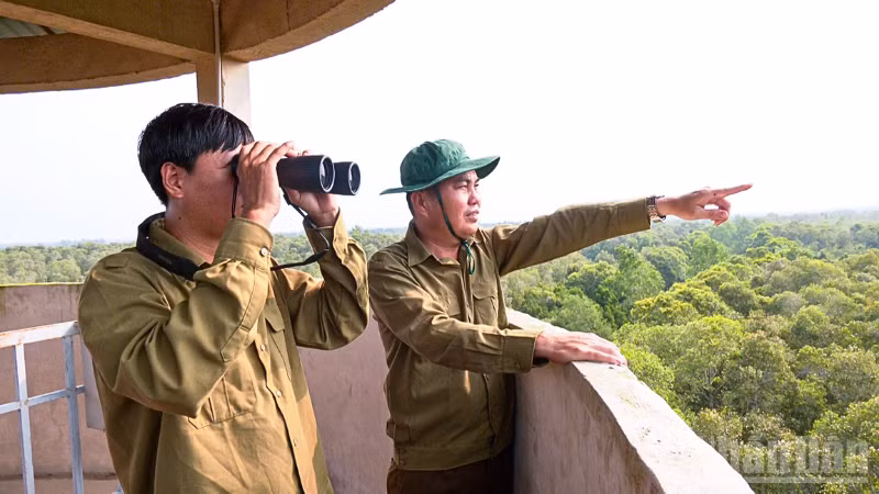 Lực lượng bảo vệ rừng của Khu Bảo tồn thiên nhiên Lung Ngọc Hoàng tuần tra công tác phòng cháy, chữa cháy