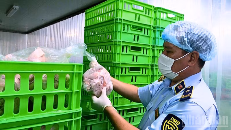 Chi cục Quản lý thị trường thành phố Cần Thơ kiểm tra cơ sở chế biến thực phẩm.