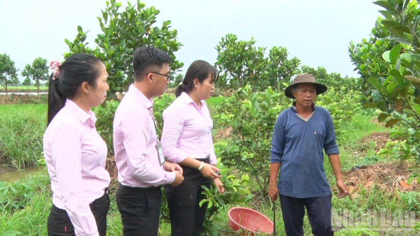 Cán bộ Phòng giao dịch Ngân hàng Chính sách Xã hội thăm mô hình hộ vay vốn đầu tư sản xuất nông nghiệp.