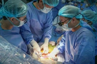 Với việc hoàn tất chuyển giao kỹ thuật ghép gan, Bệnh viện Quân y 175 trở thành cơ sở y tế thứ 8 trong cả nước thực hiện độc lập kỹ thuật này, đồng thời là trung tâm ghép tạng hàng đầu của Quân đội tại khu vực phía nam.