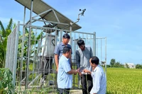 Sản xuất lúa ứng dụng công nghệ thông minh tại xã Tân Xuân (tỉnh Vĩnh Long) mang lại hiệu quả kinh tế cao.