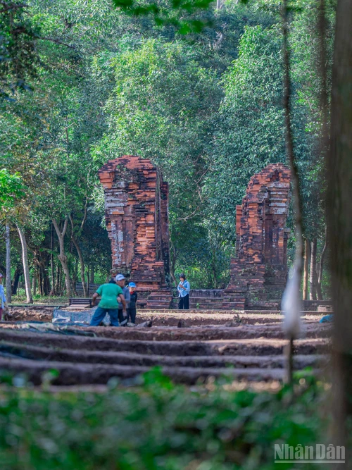 Toàn cảnh khu vực "con đường thiêng" vừa phát lộ tại Thánh địa Mỹ Sơn.