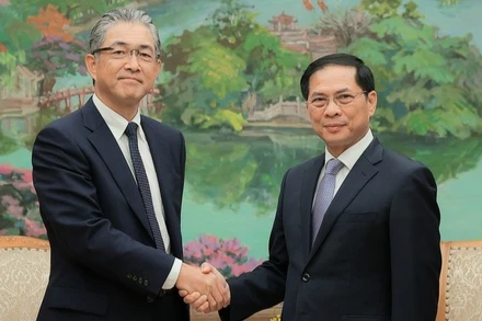 Phó Thủ tướng Bùi Thanh Sơn tiếp Tổng Giám đốc khối điện và hạ tầng toàn cầu Tập đoàn Marubeni Naoki Ito. (Ảnh: VGP/Hải Minh)