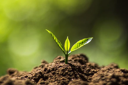 Chuyện những hạt giống “bất tử” kiến tạo nền học thuật toàn cầu