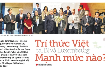 Trí thức Việt tại Bỉ và Luxembourg mạnh mức nào?