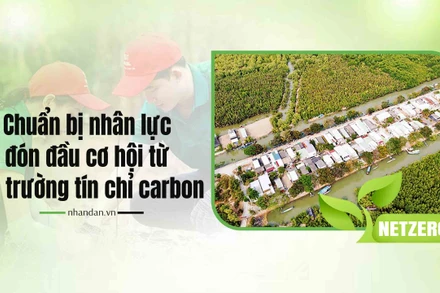 Chuẩn bị nhân lực đón đầu cơ hội từ thị trường tín chỉ carbon