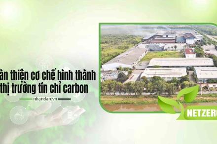 Hoàn thiện cơ chế hình thành thị trường tín chỉ carbon