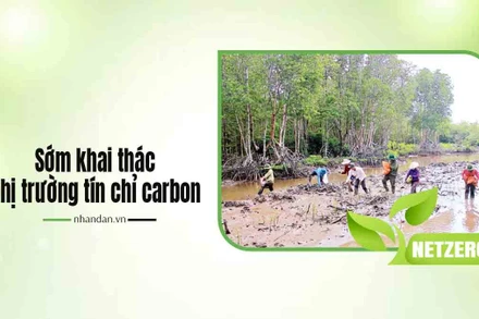 Sớm khai thác thị trường tín chỉ carbon