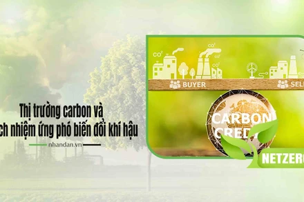Thị trường carbon và trách nhiệm ứng phó biến đổi khí hậu