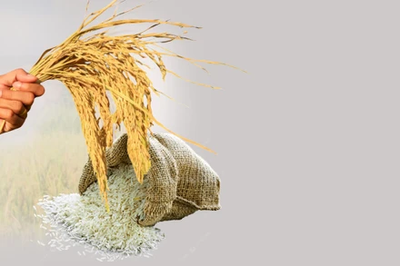 Cha đẻ gạo ST25: “Chúng tôi tiến về Net Zero như thế nào”