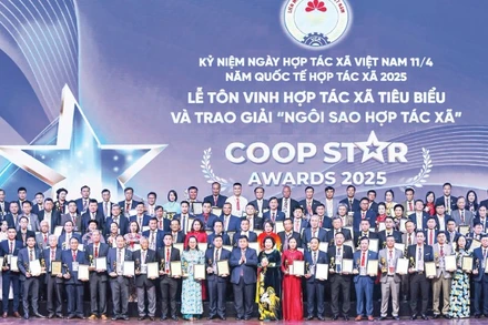 Đổi mới mô hình hợp tác xã Việt Nam: Xây dựng hệ sinh thái phong phú và vững mạnh