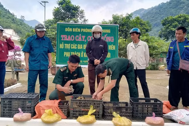 Bộ đội Biên phòng Thanh Hóa tặng thức ăn cùng con giống gia cầm cho các hộ nghèo tổ chức chăn nuôi.