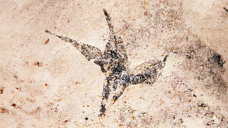 20-t2.jpg