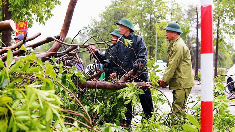 Các lực lượng tổ chức dọn dẹp cây xanh bị gãy đổ ở Nghệ An. Ảnh: ĐÌNH PHƯỢNG 33.jpg