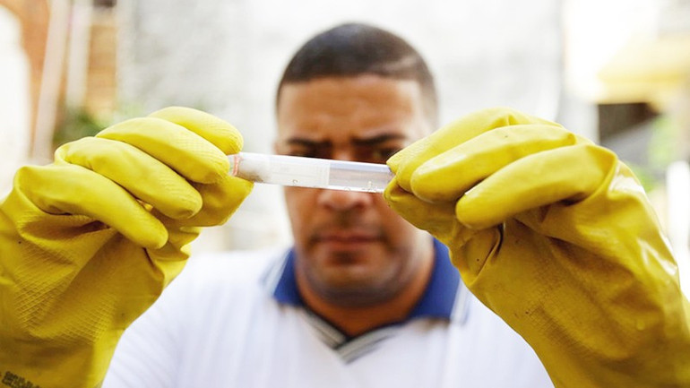 Chuyên gia y tế Brazil nghiên cứu muỗi Aedes trong phòng thí nghiệm. Ảnh: SHUTTERSTOCK 152.jpg