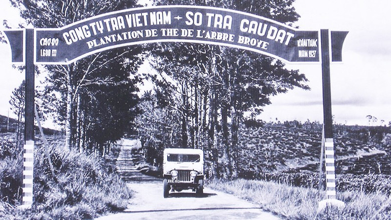 Sở trà Cầu Đất do người Pháp lập nên từ năm 1927. Ảnh tư liệu 162.jpg
