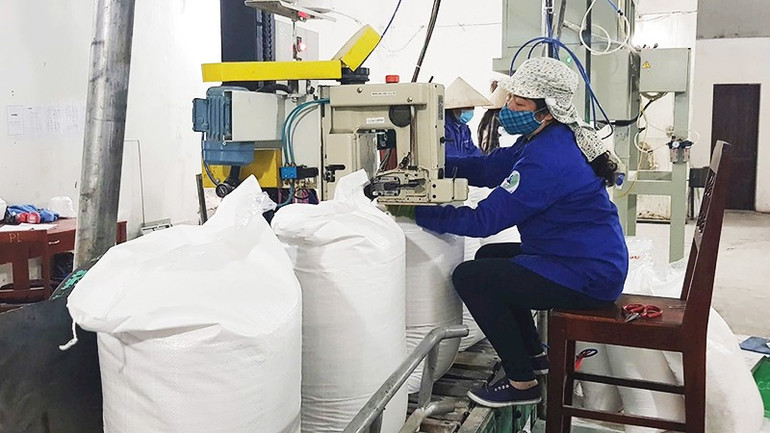 Sản xuất đường tại nhà máy Công ty cổ phần Mía đường Cao Bằng ở xã Phục Hòa. Ảnh: HOÀI AN 52.jpg