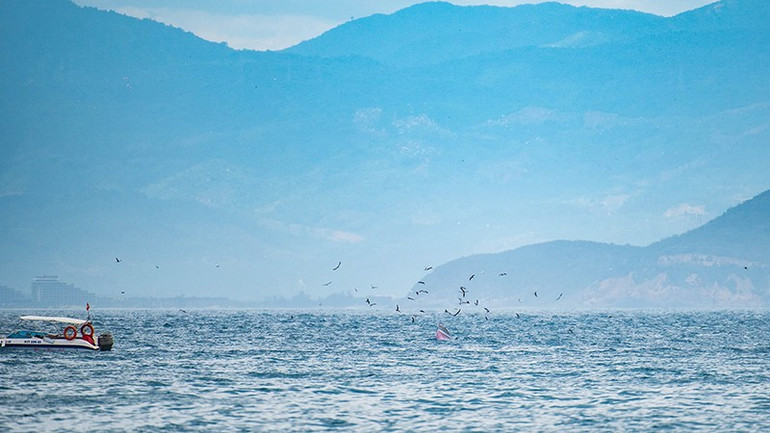 Thấp thoáng Nha Trang phía sau cảnh cá voi săn mồi đã tạo nên hình ảnh bình yên, độc đáo cho một trong những vịnh biển đẹp nhất thế giới của Việt Nam. 46.jpg