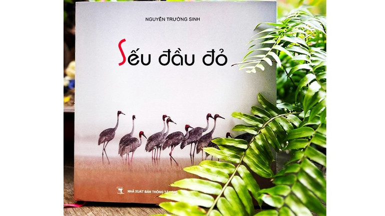 Bìa sách “Sếu đầu đỏ”. Ảnh: GIẢN THANH SƠN 173.jpg