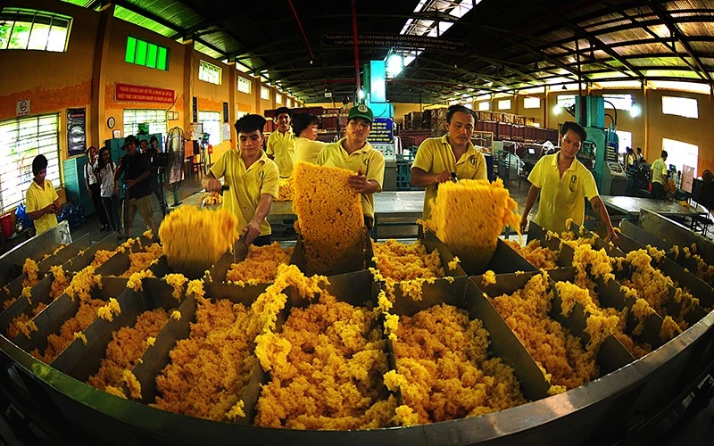 Thái Lan, Indonesia, Trung Quốc, Việt Nam và Nhật Bản là 5 thị trường lớn nhất cung cấp cao-su cho Hàn Quốc. 