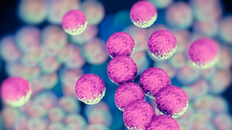 (Ảnh minh họa. Nguồn: healthcare/TTXVN)